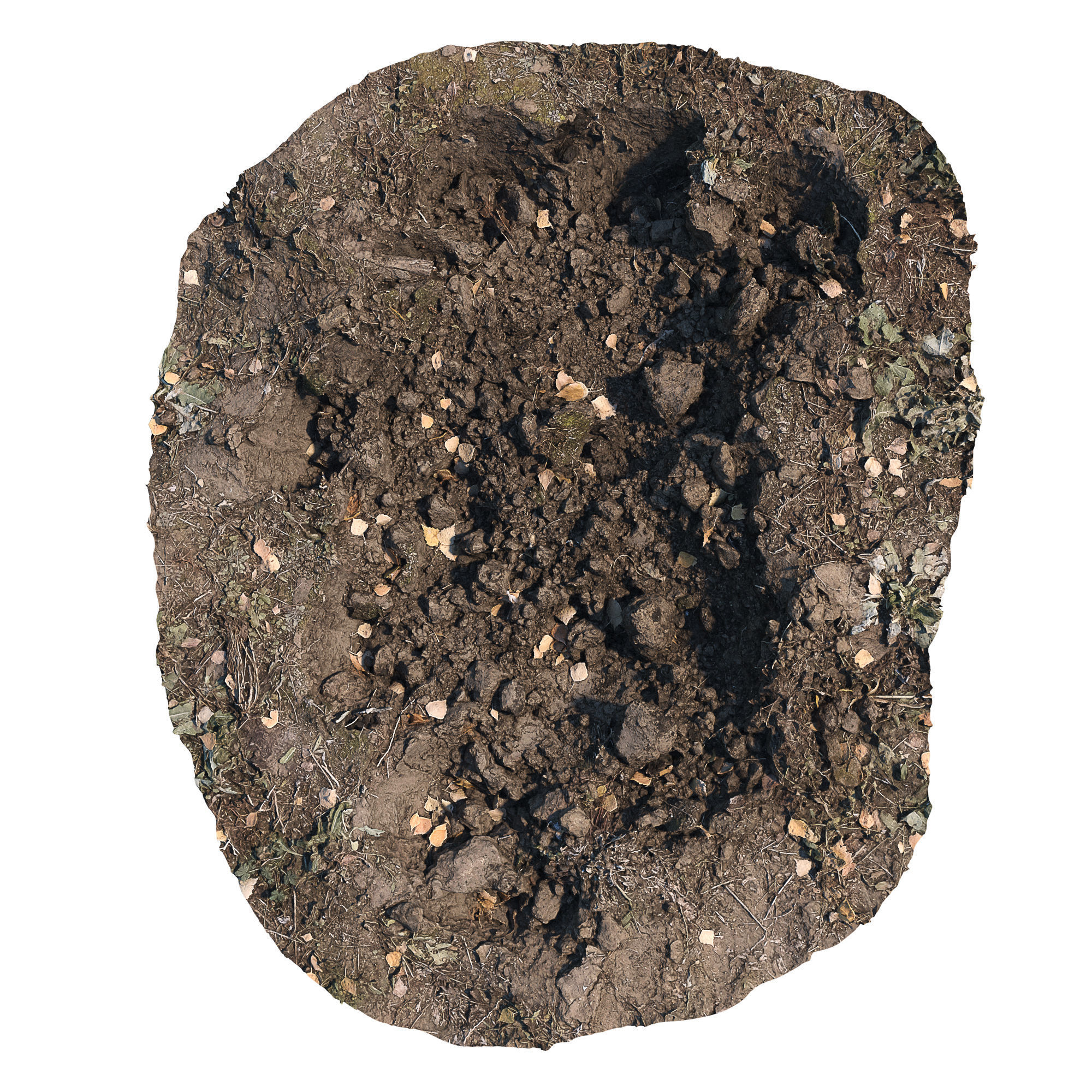 Ultra realistic Dirt pit Scan Low-poly 3D model_1