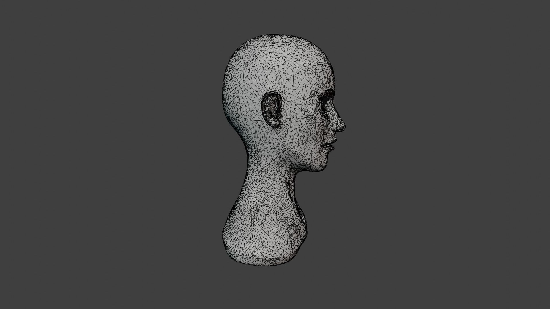 Female Head Sculpt Free 3D model_4