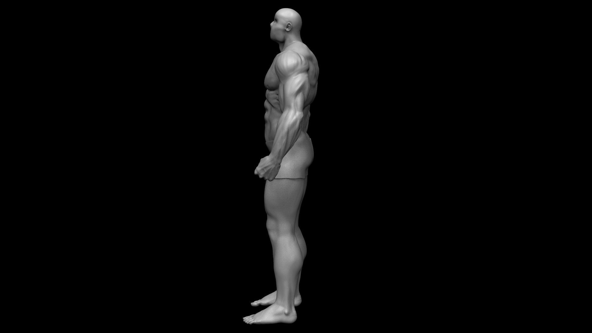 3d human body by Buzzzman 3D model_4