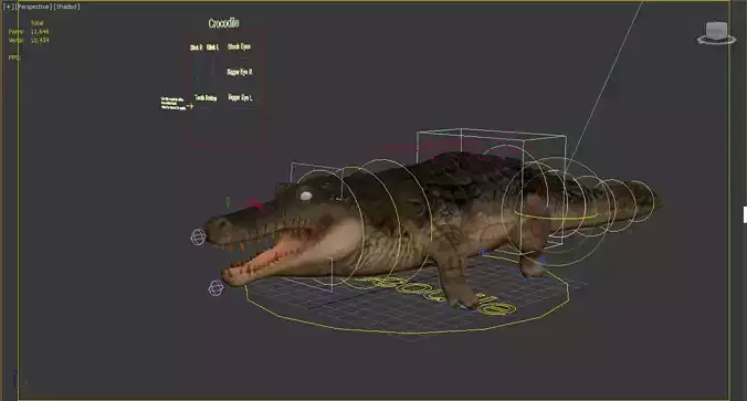 crocodile cartoon rigged animal  character