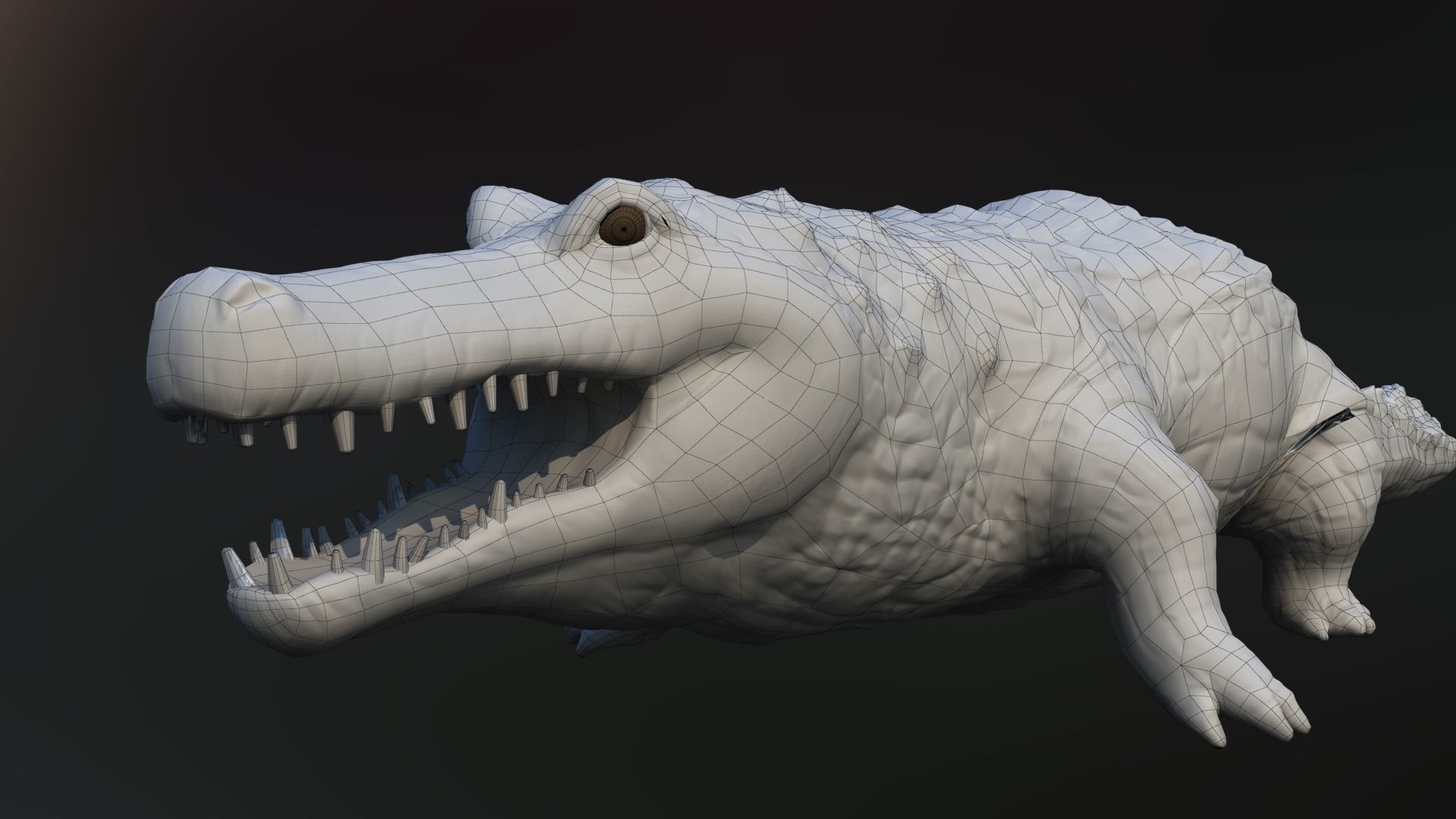 crocodile cartoon rigged animal  character 3D model_5