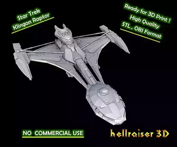 Star Trek - Klingon Raptor - 3D Printable Model 3D print model