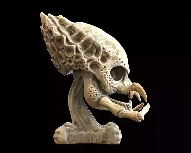 Predator Skull