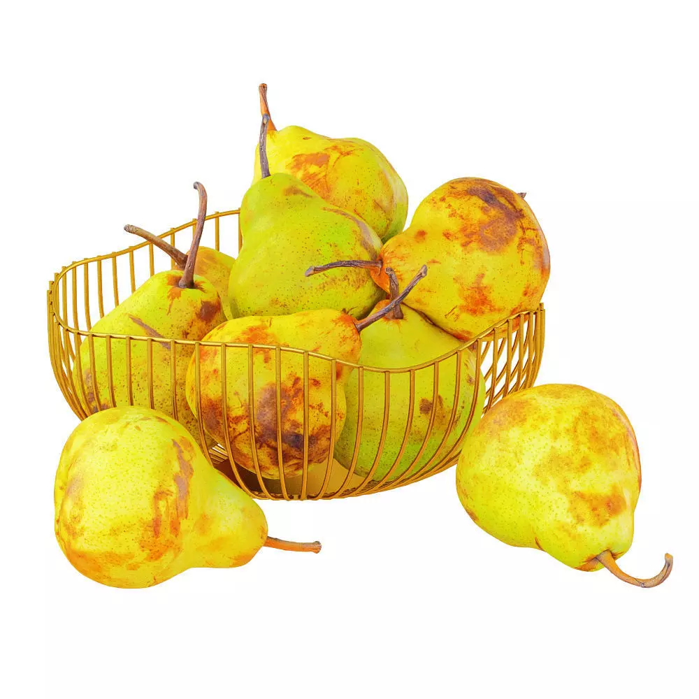 Pears in a Decorative Vase 3D model_0