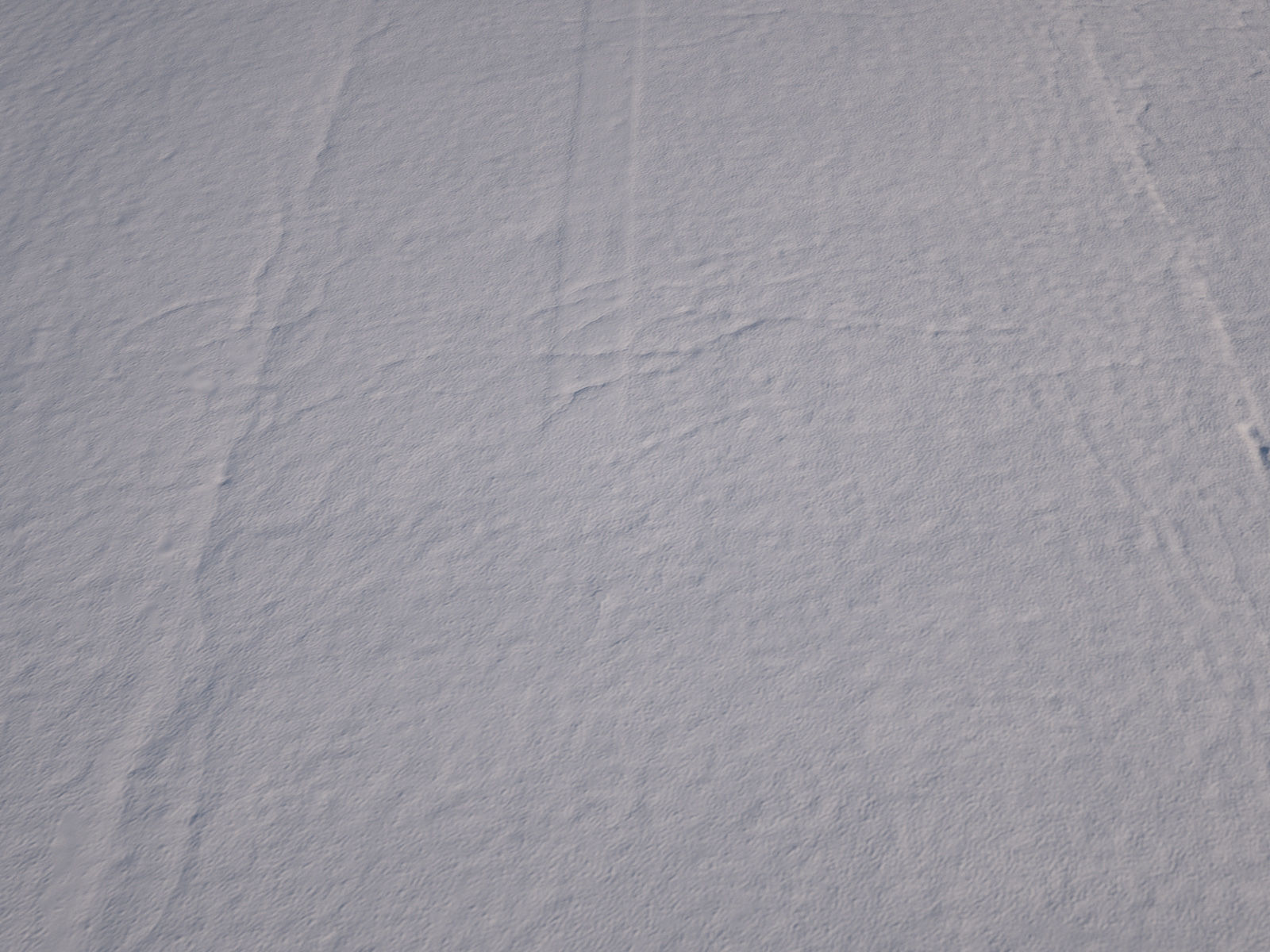 Asphalt Road 3D Scan Low-poly 3D model_3