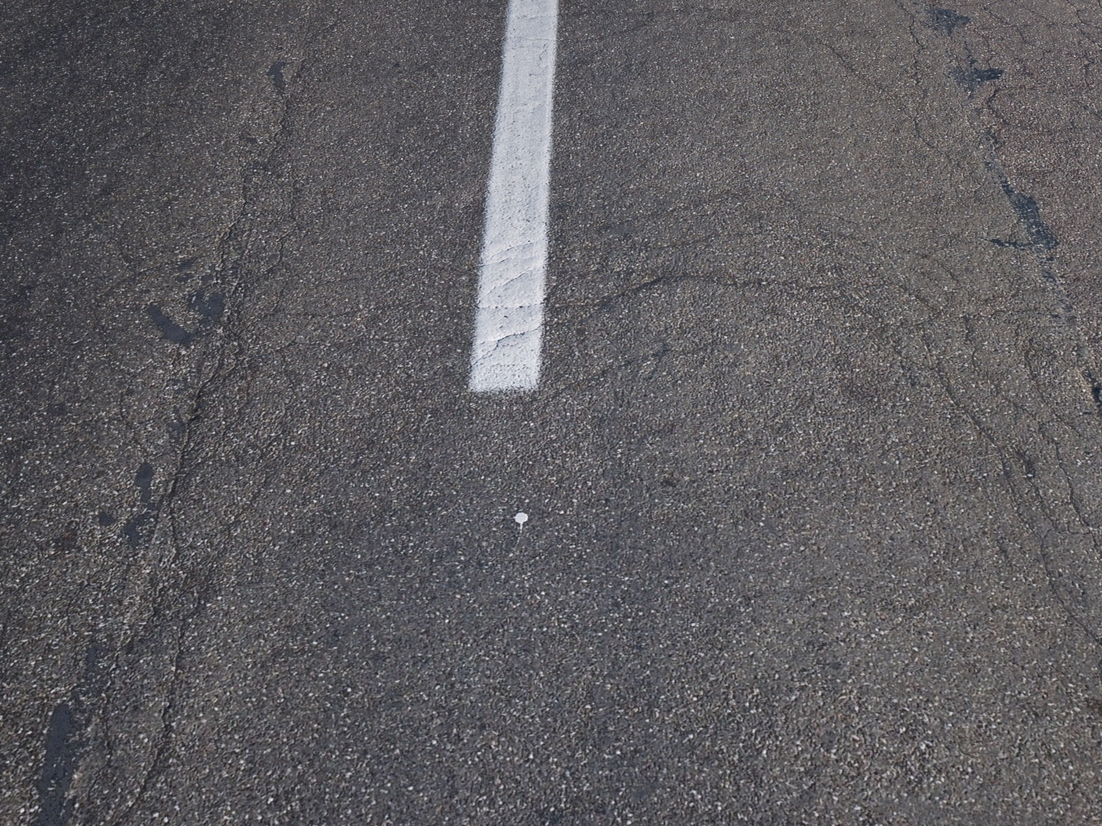 Asphalt Road 3D Scan Low-poly 3D model_2