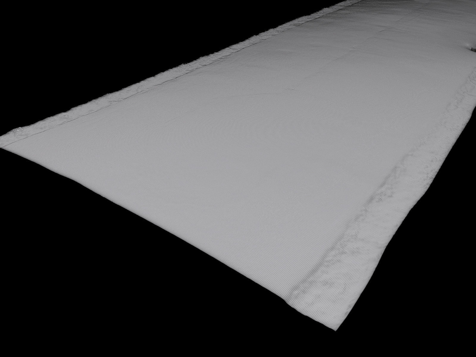 Asphalt Road 3D Scan Low-poly 3D model_13