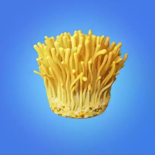 Mycelium Cordyceps 3d model hight quality 3D model