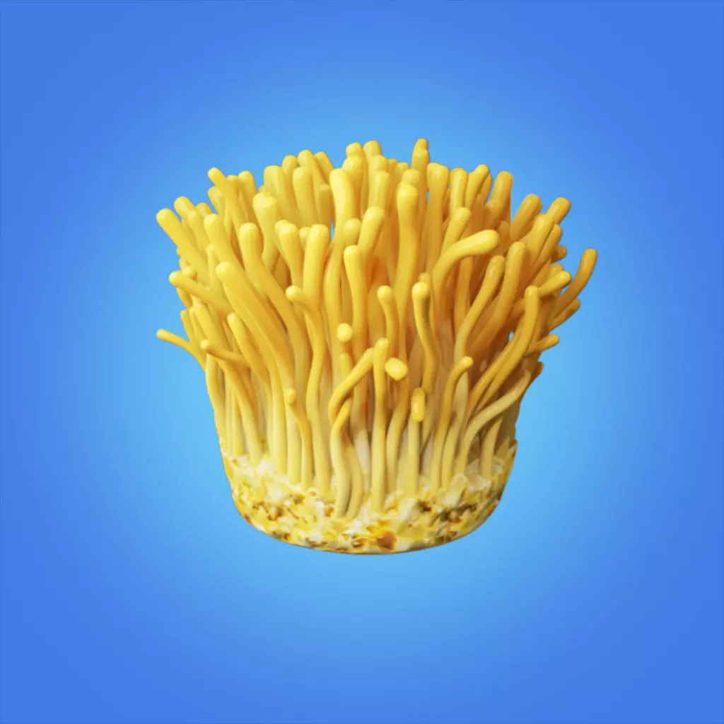 Mycelium Cordyceps 3d model hight quality 3D model_0