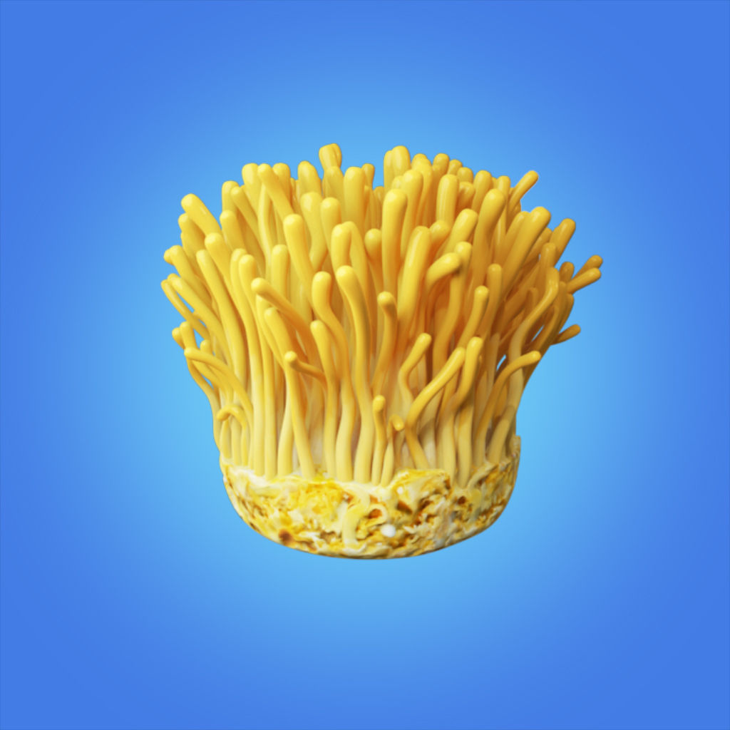 Mycelium Cordyceps 3d model hight quality 3D model_3