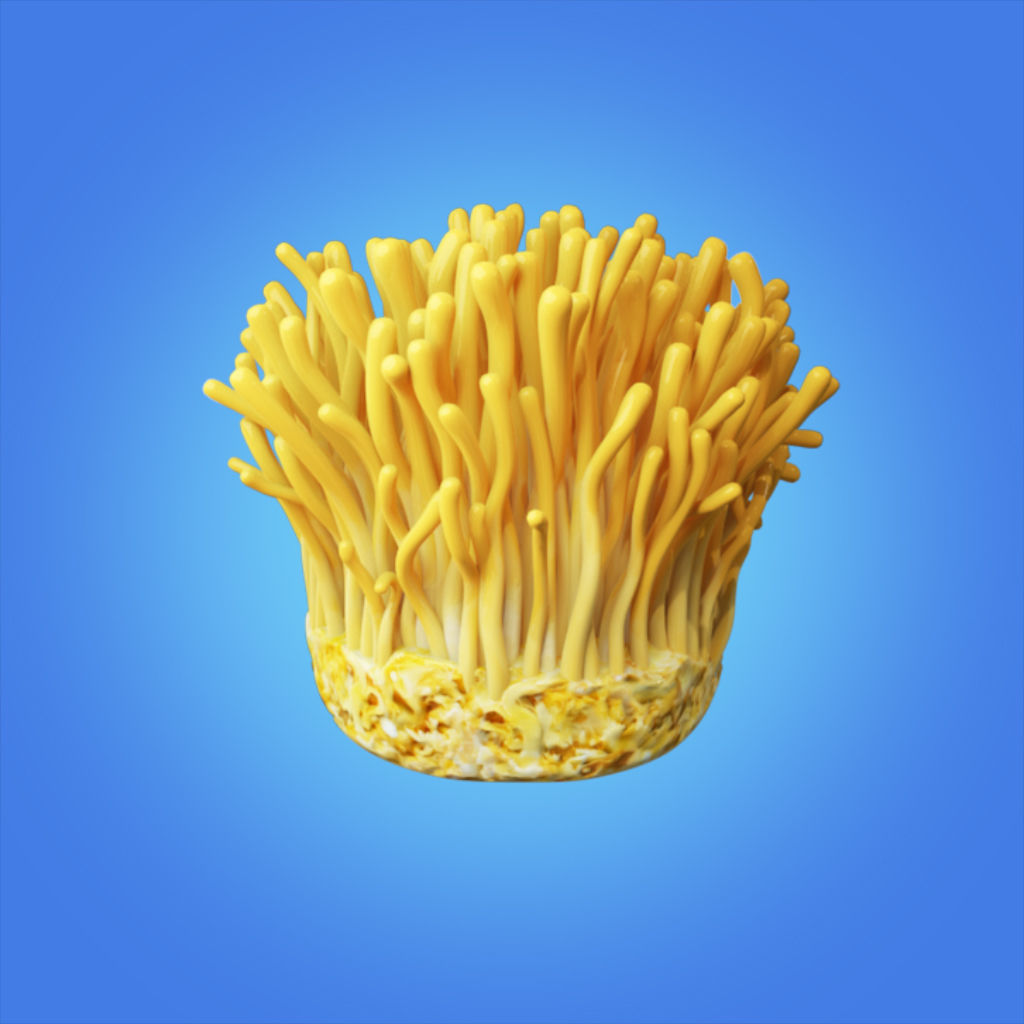 Mycelium Cordyceps 3d model hight quality 3D model_2