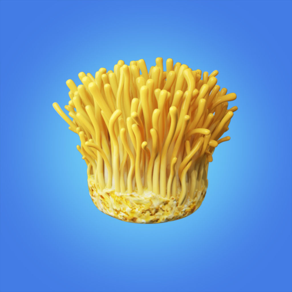 Mycelium Cordyceps 3d model hight quality 3D model_1