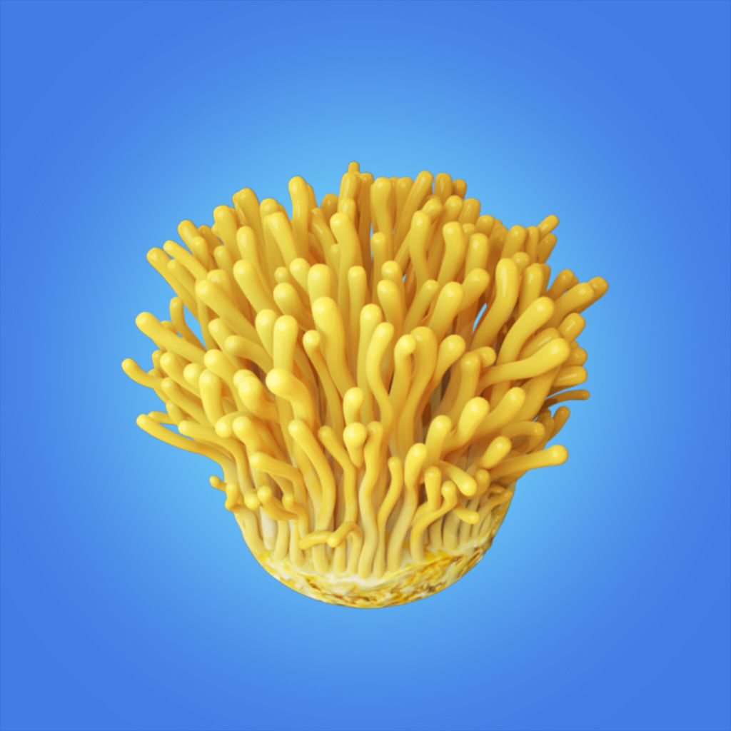 Mycelium Cordyceps 3d model hight quality 3D model_5