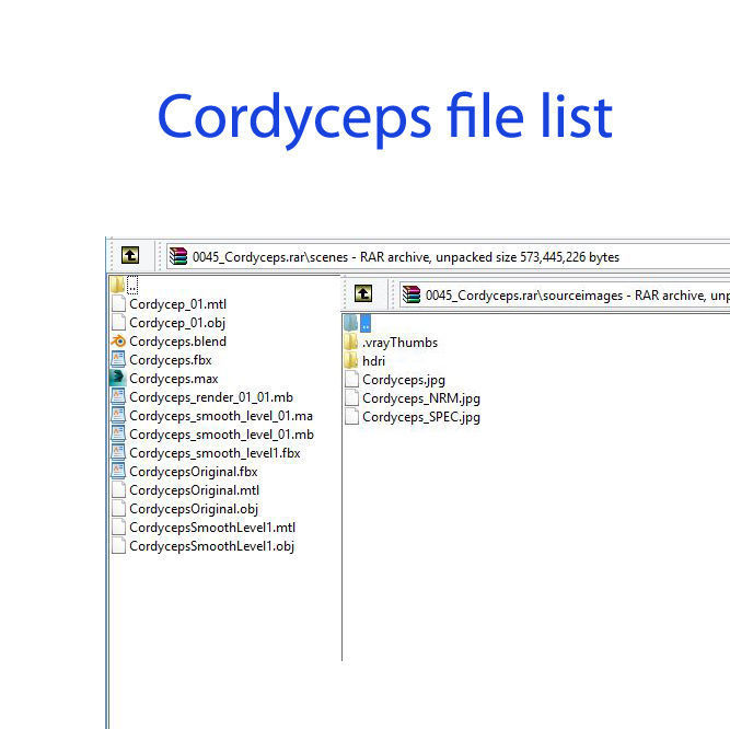 Mycelium Cordyceps 3d model hight quality 3D model_9