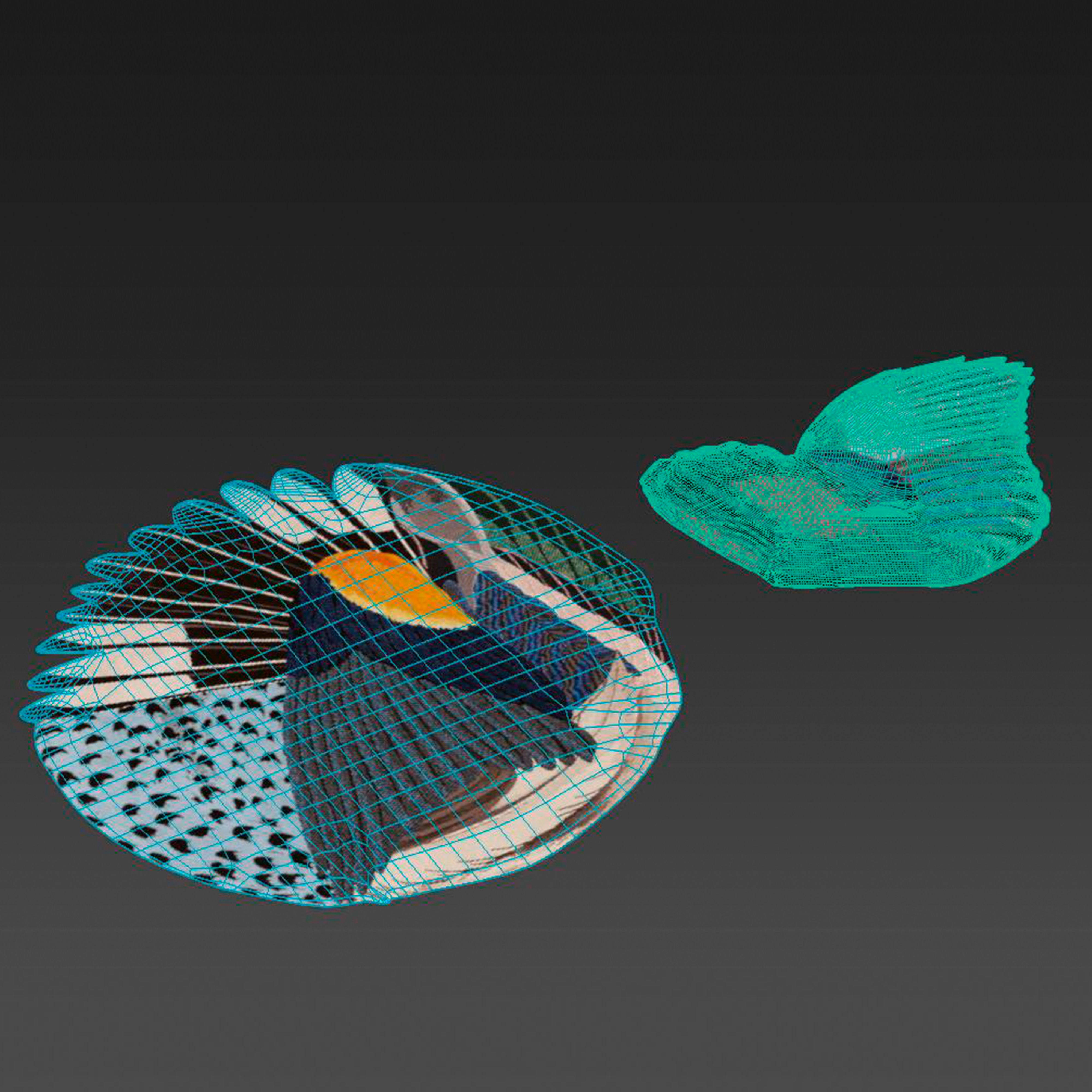 CC-Tapis Feathers and Round carpets 3D model_6