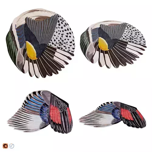 CC-Tapis Feathers and Round carpets 3D model
