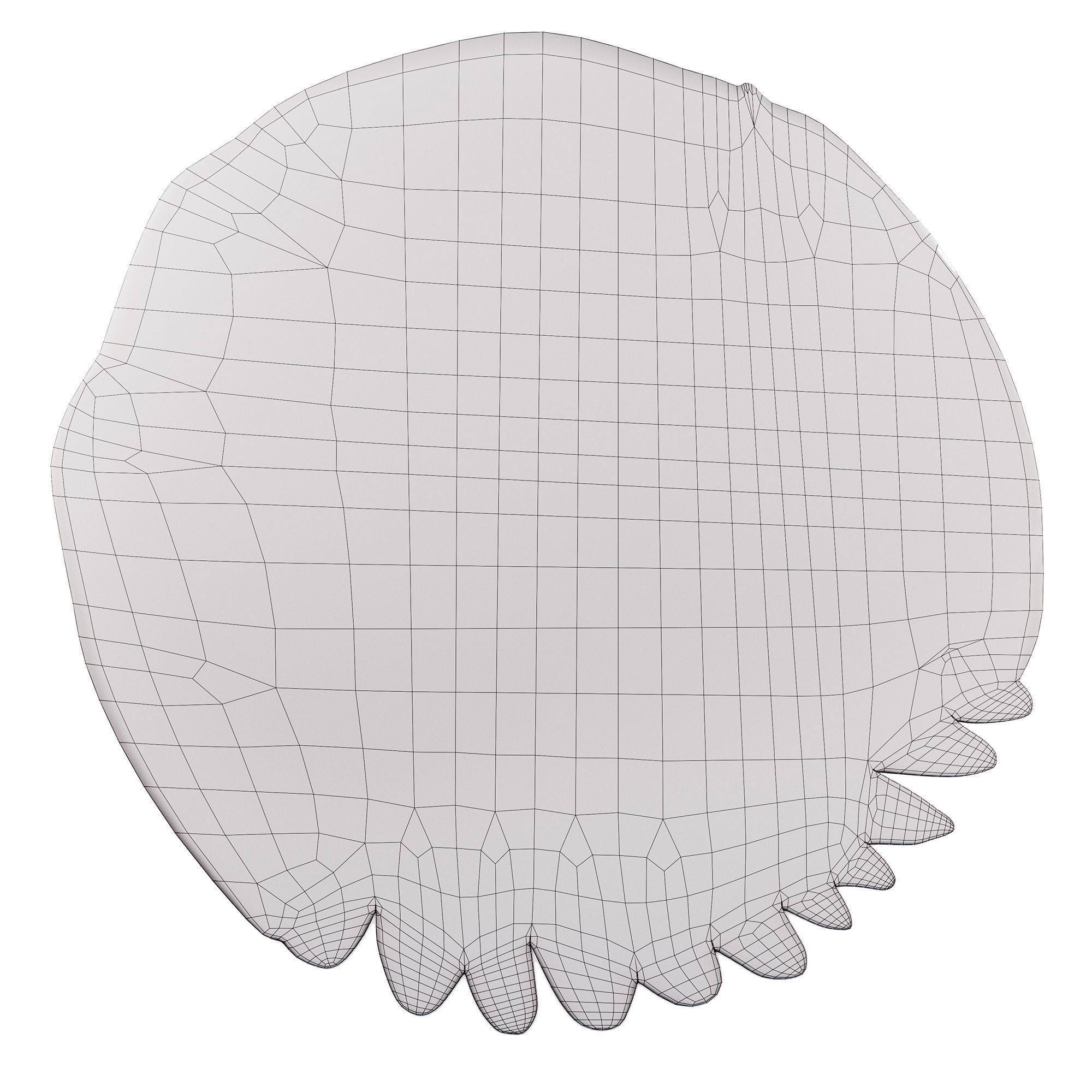CC-Tapis Feathers and Round carpets 3D model_7