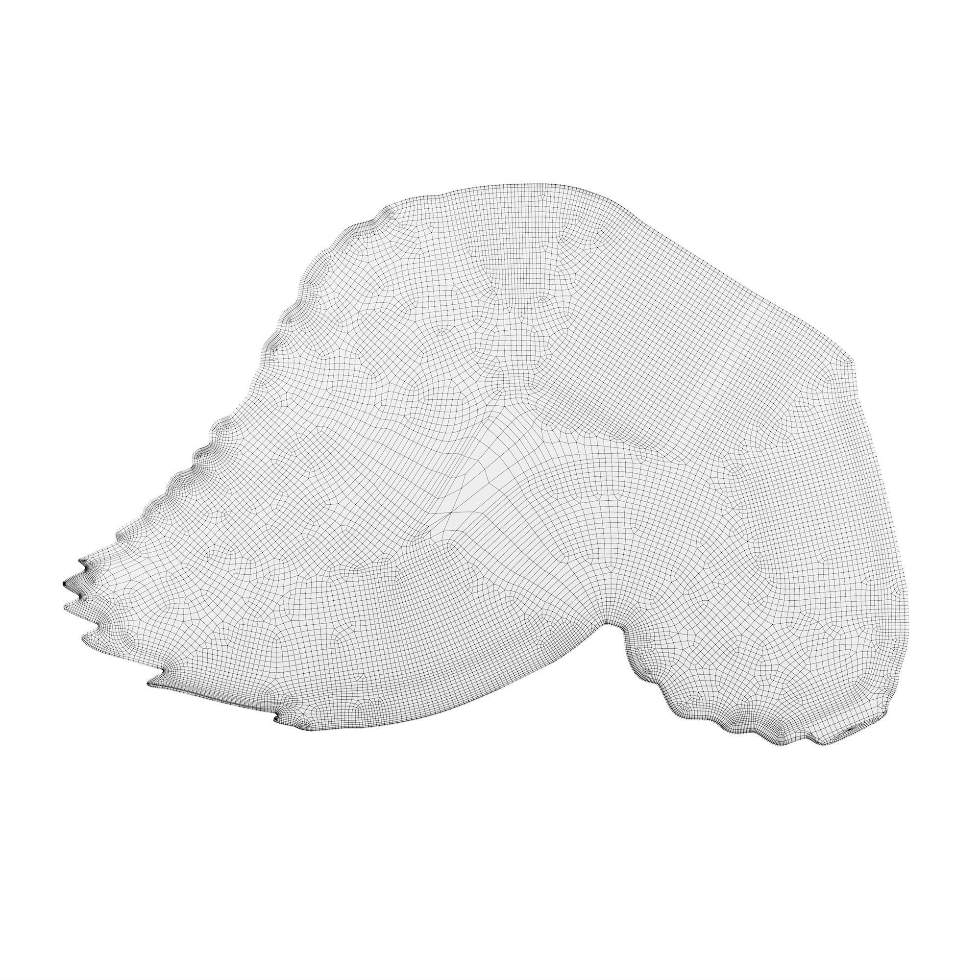 CC-Tapis Feathers and Round carpets 3D model_8