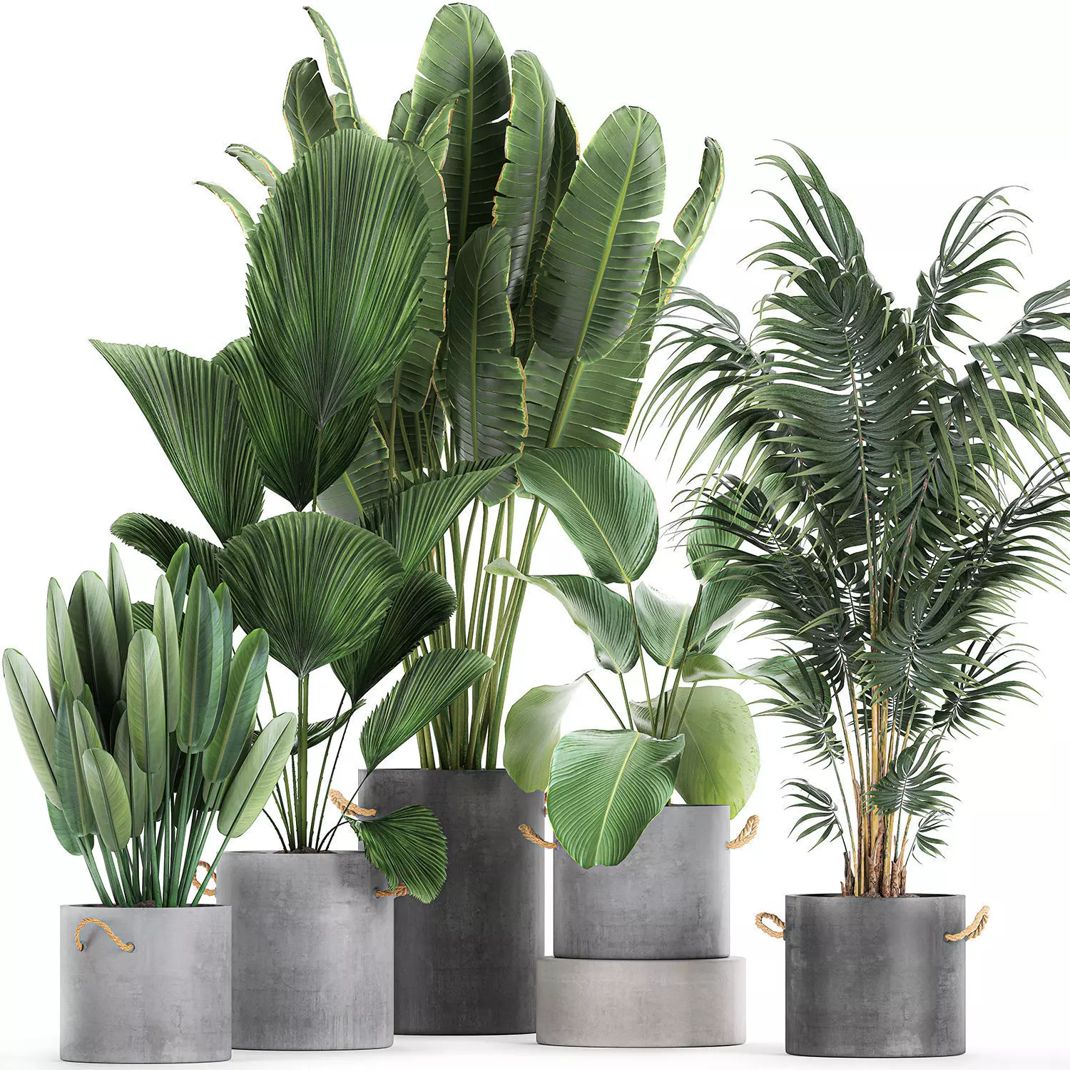 Houseplants in a pot for the interior 728 3D model