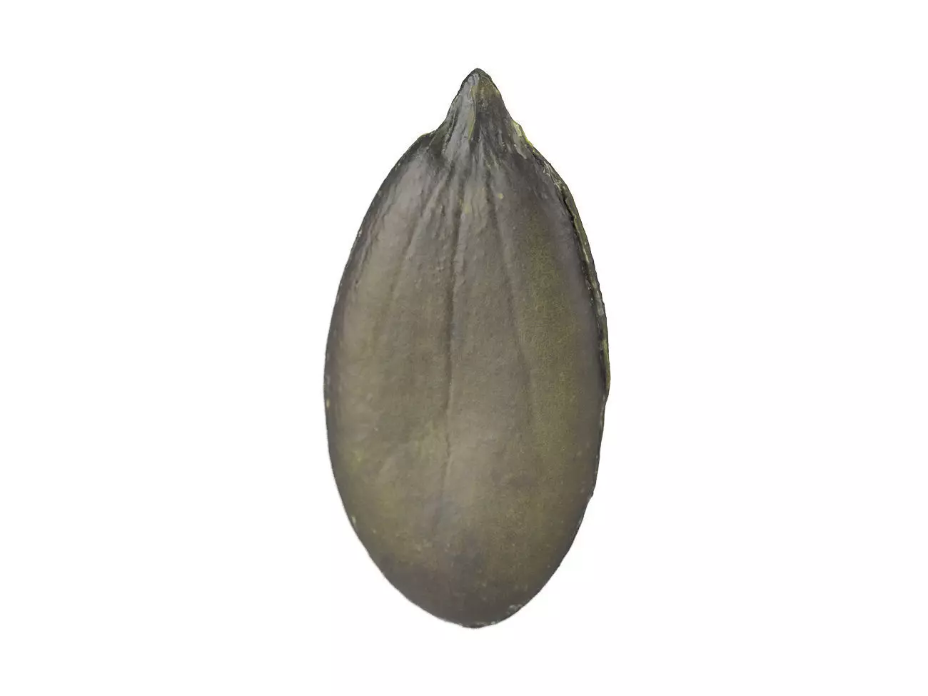 Photorealistic Pumpkin Seed 3D Scan 3D model_0