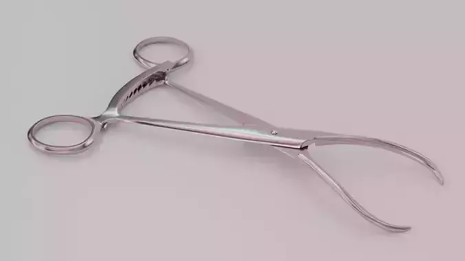 Weber Clamp 3D model