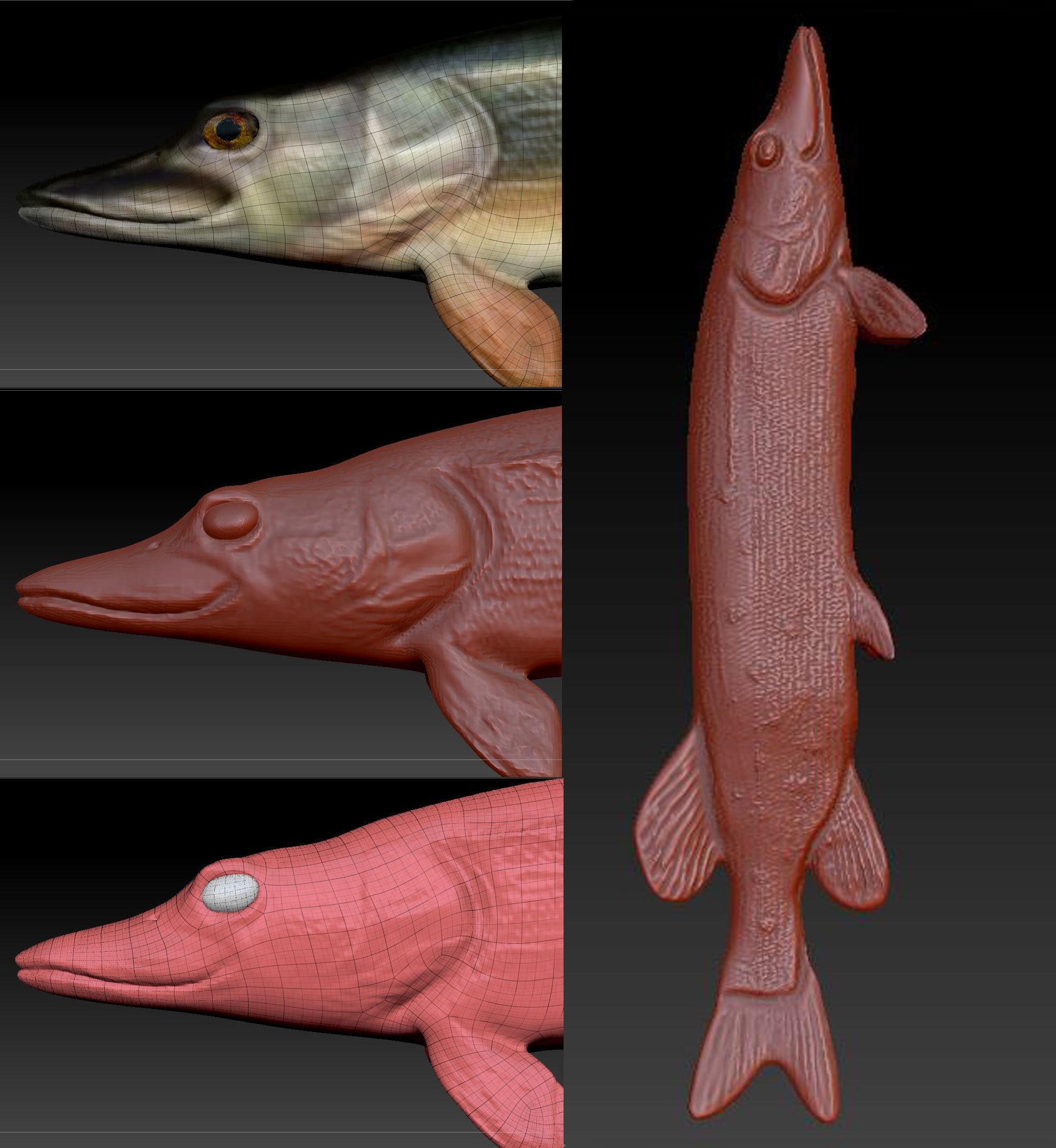 Pike Fish Low-poly 3D model_4