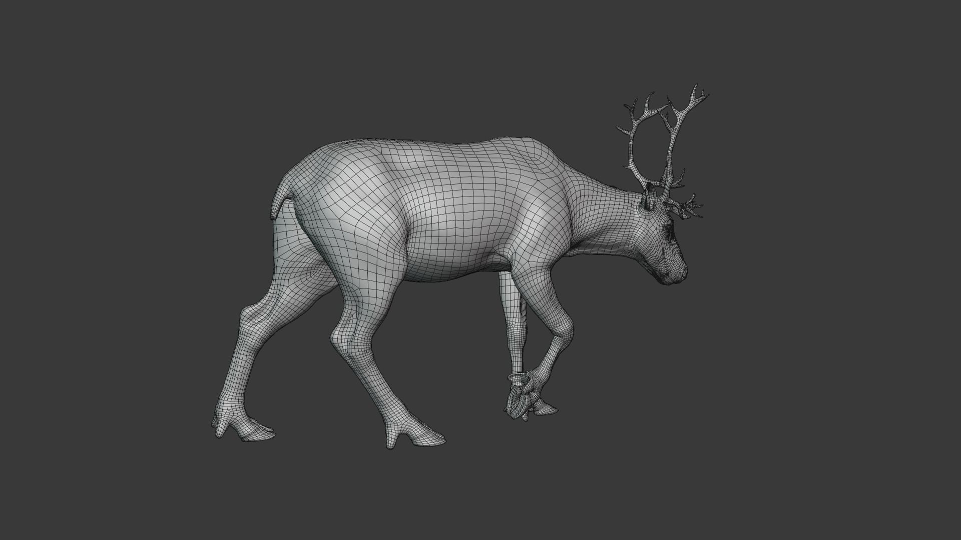 ReinDeer Male and Female Animated 3D model_17