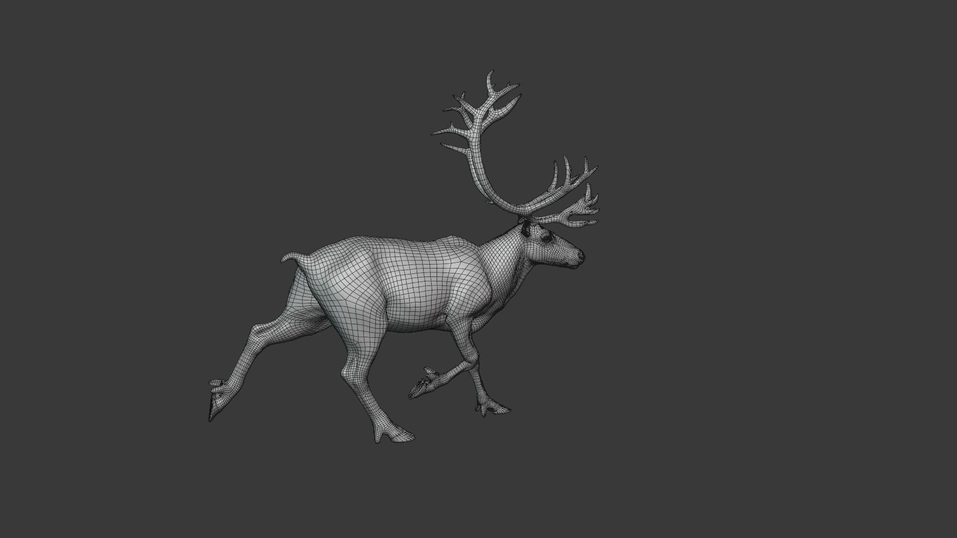 ReinDeer Male and Female Animated 3D model_38