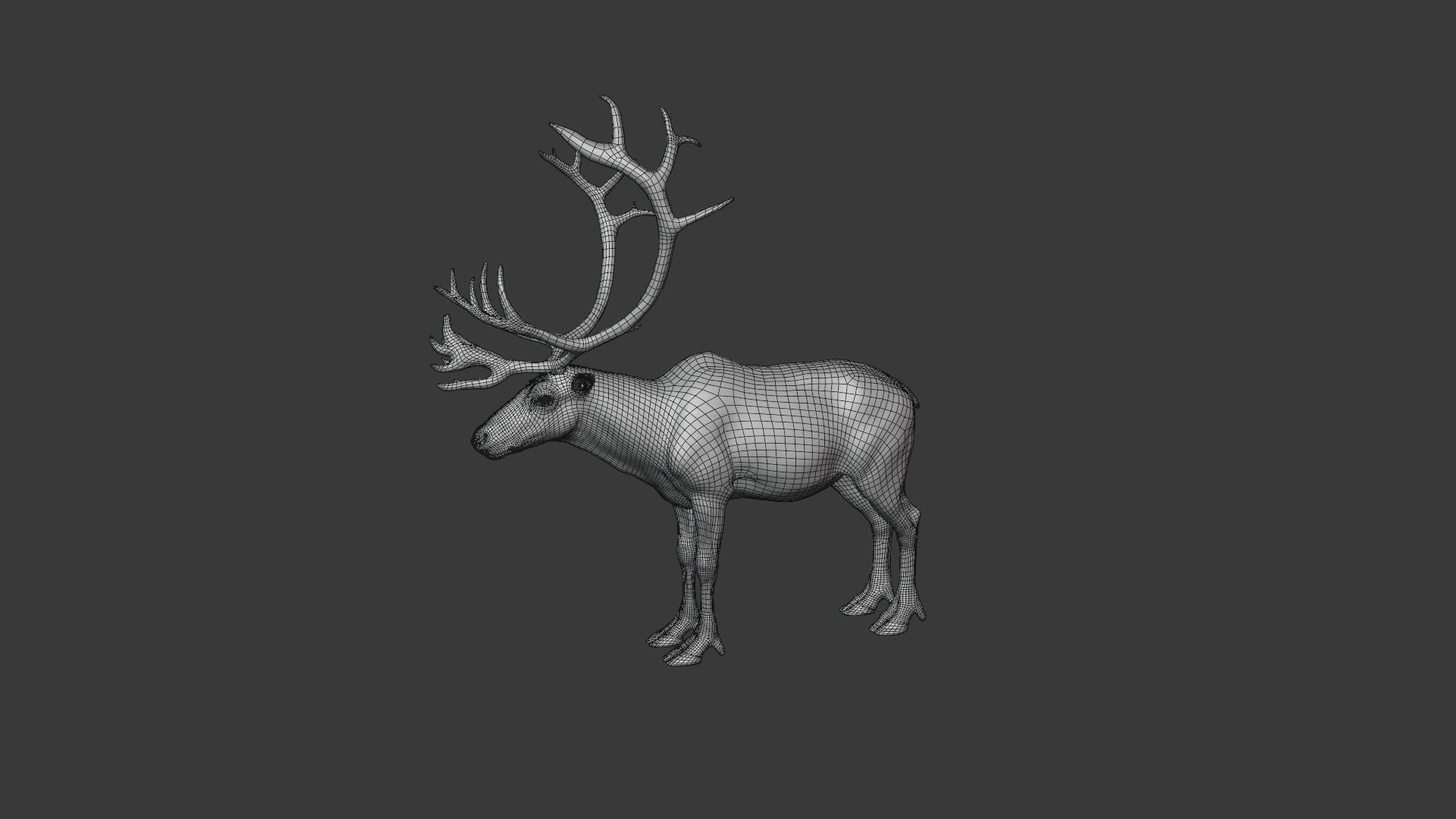 ReinDeer Male and Female Animated 3D model_30