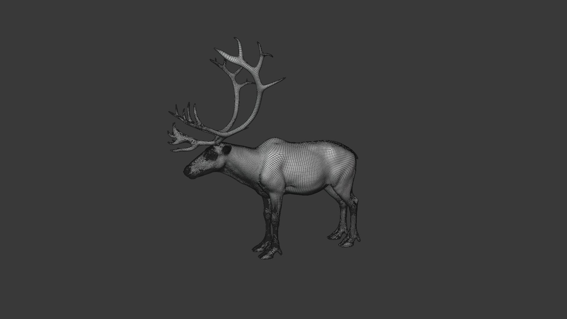 ReinDeer Male and Female Animated 3D model_31