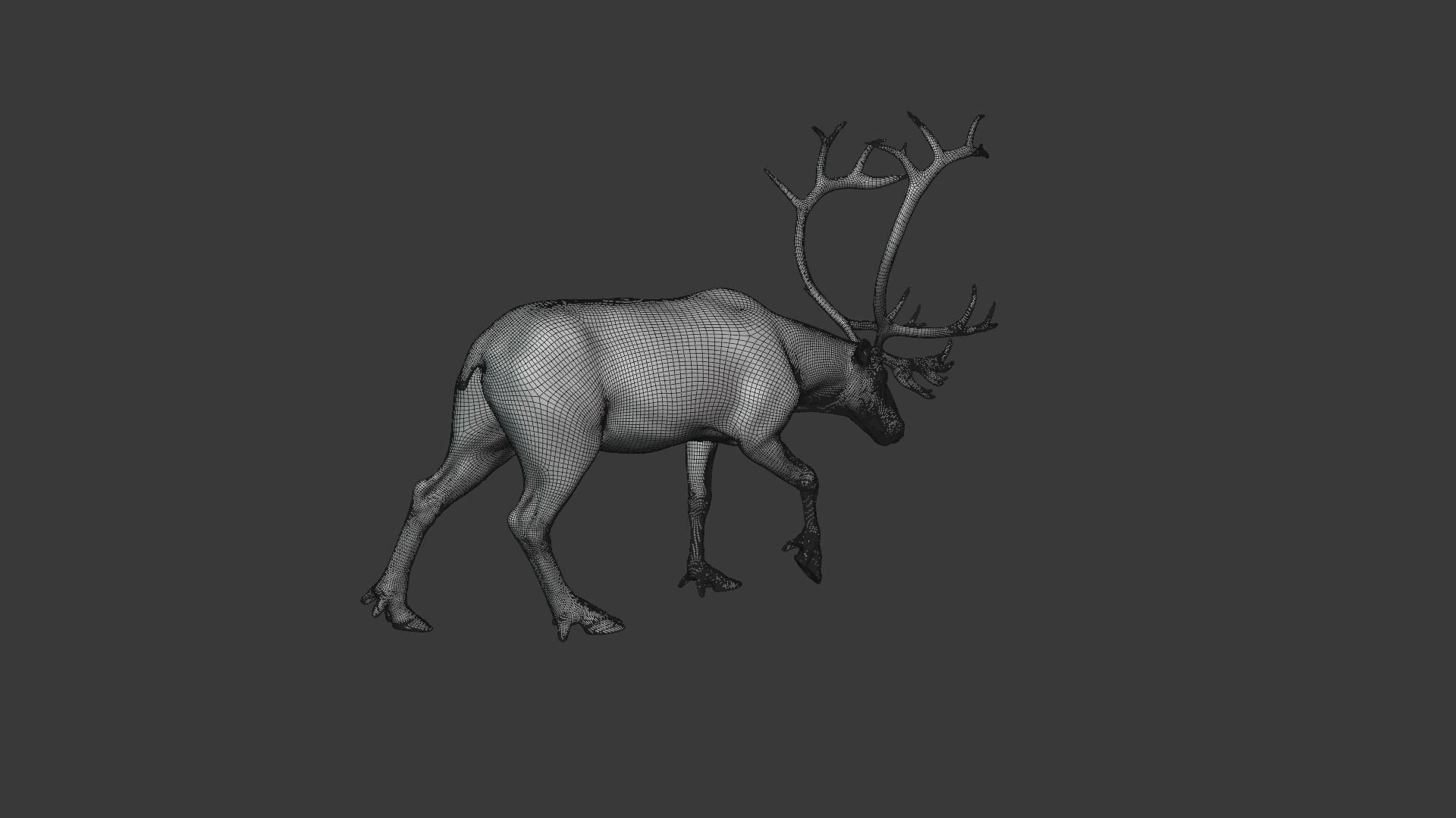ReinDeer Male and Female Animated 3D model_33