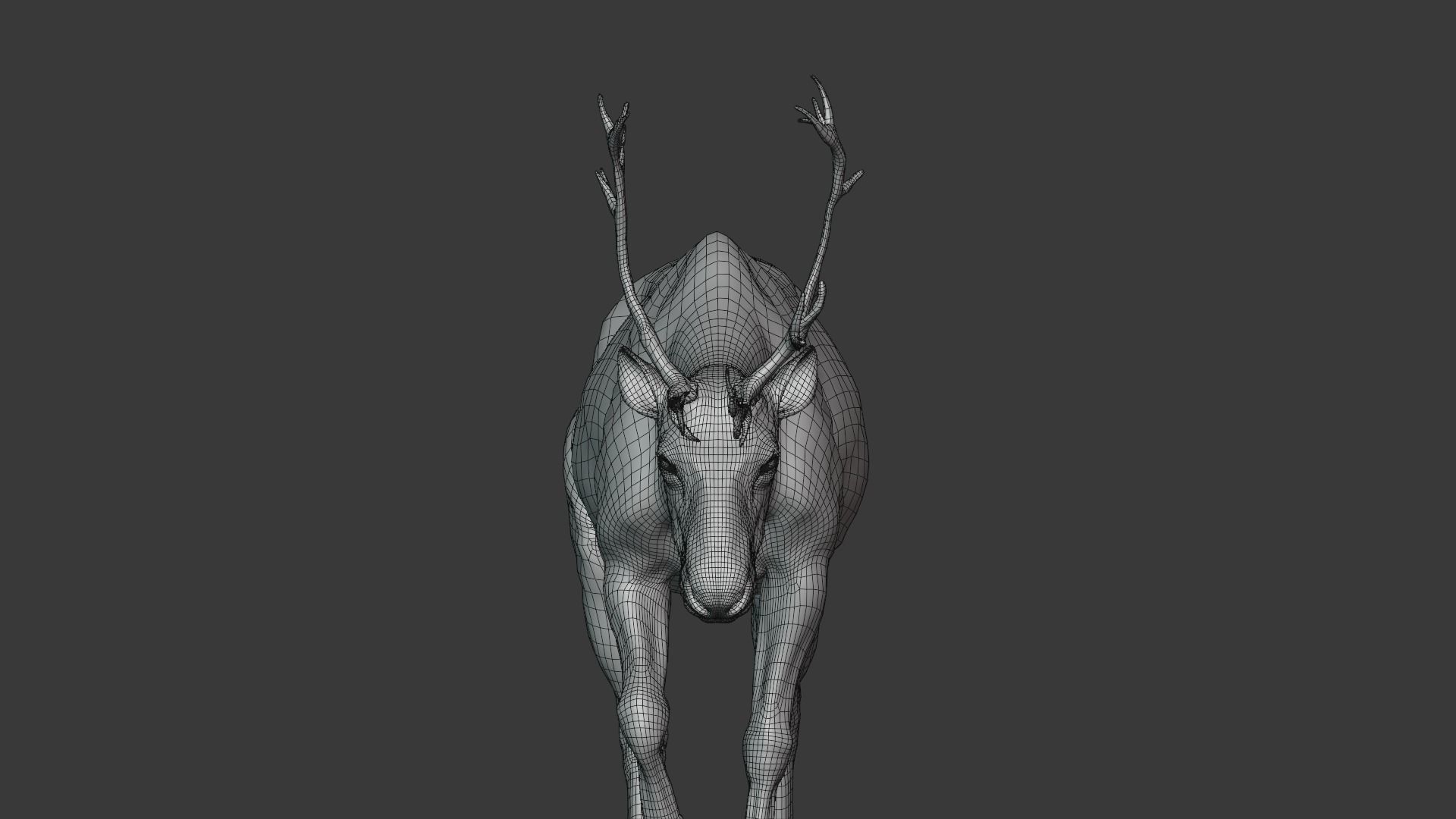 ReinDeer Male and Female Animated 3D model_21