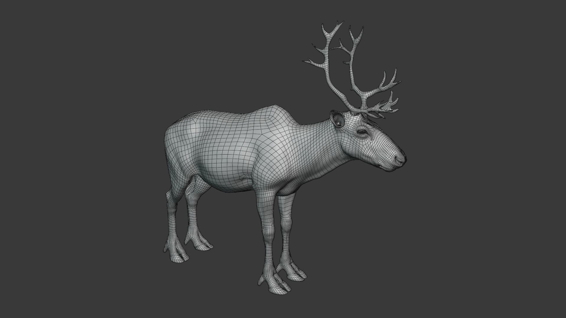 ReinDeer Male and Female Animated 3D model_13