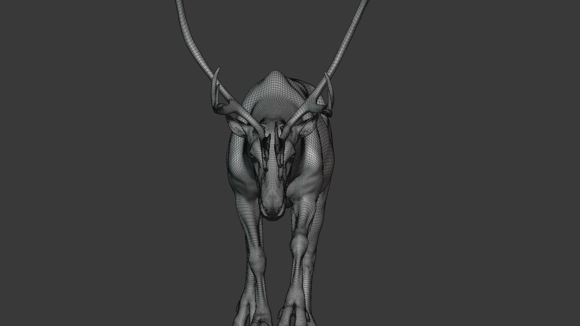 ReinDeer Male and Female Animated 3D model_37