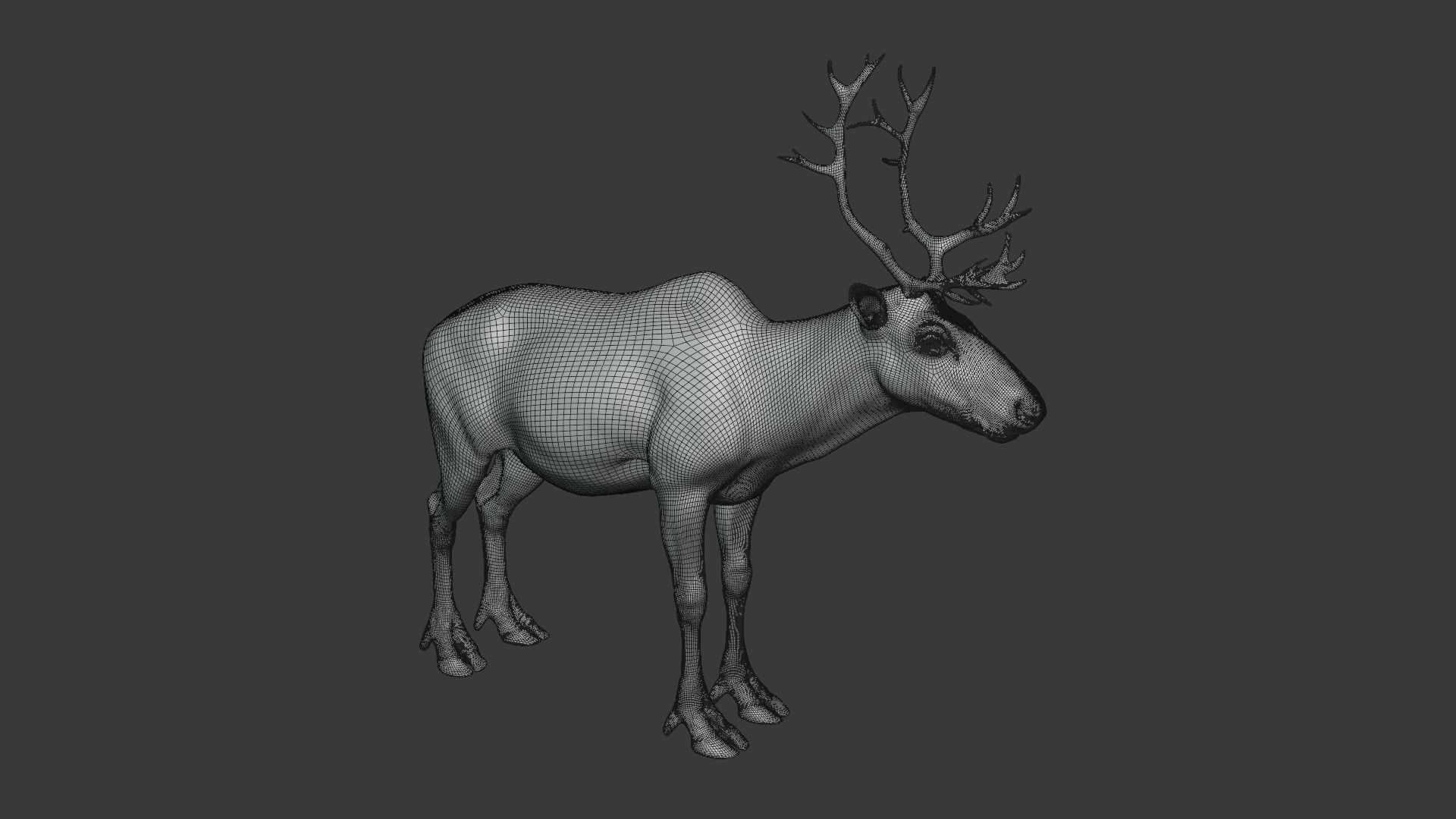 ReinDeer Male and Female Animated 3D model_14