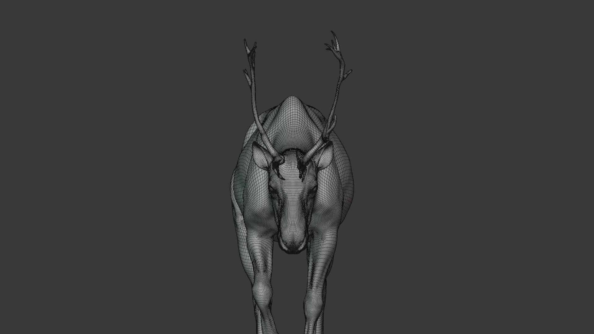 ReinDeer Male and Female Animated 3D model_22