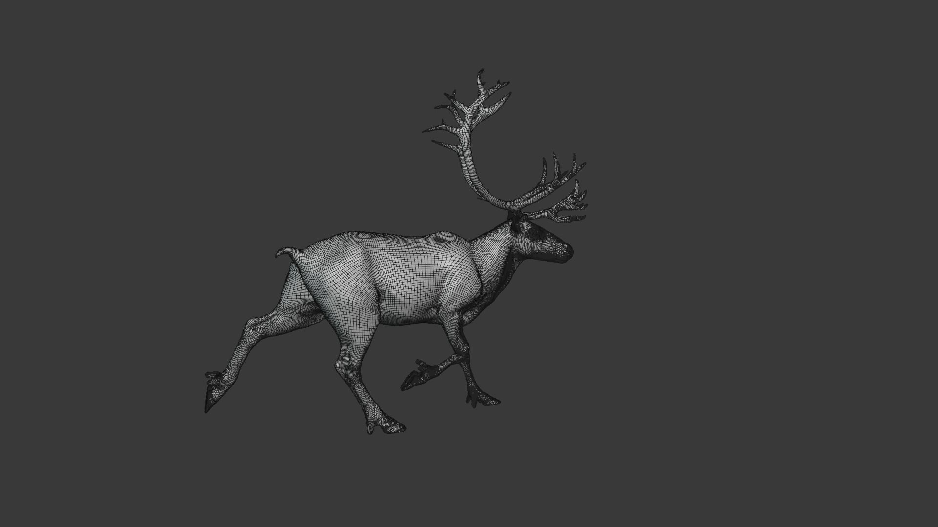ReinDeer Male and Female Animated 3D model_39