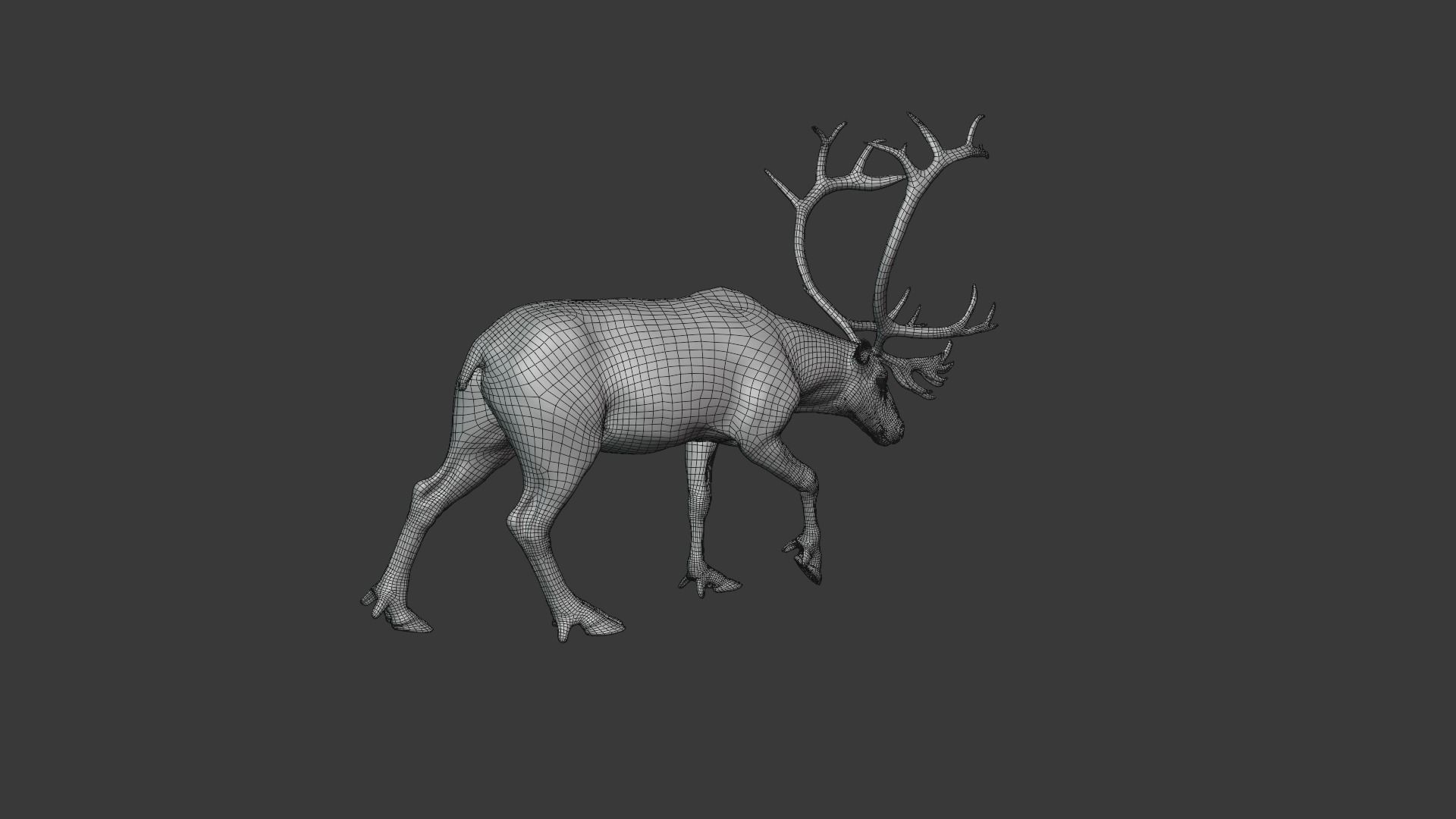 ReinDeer Male and Female Animated 3D model_32