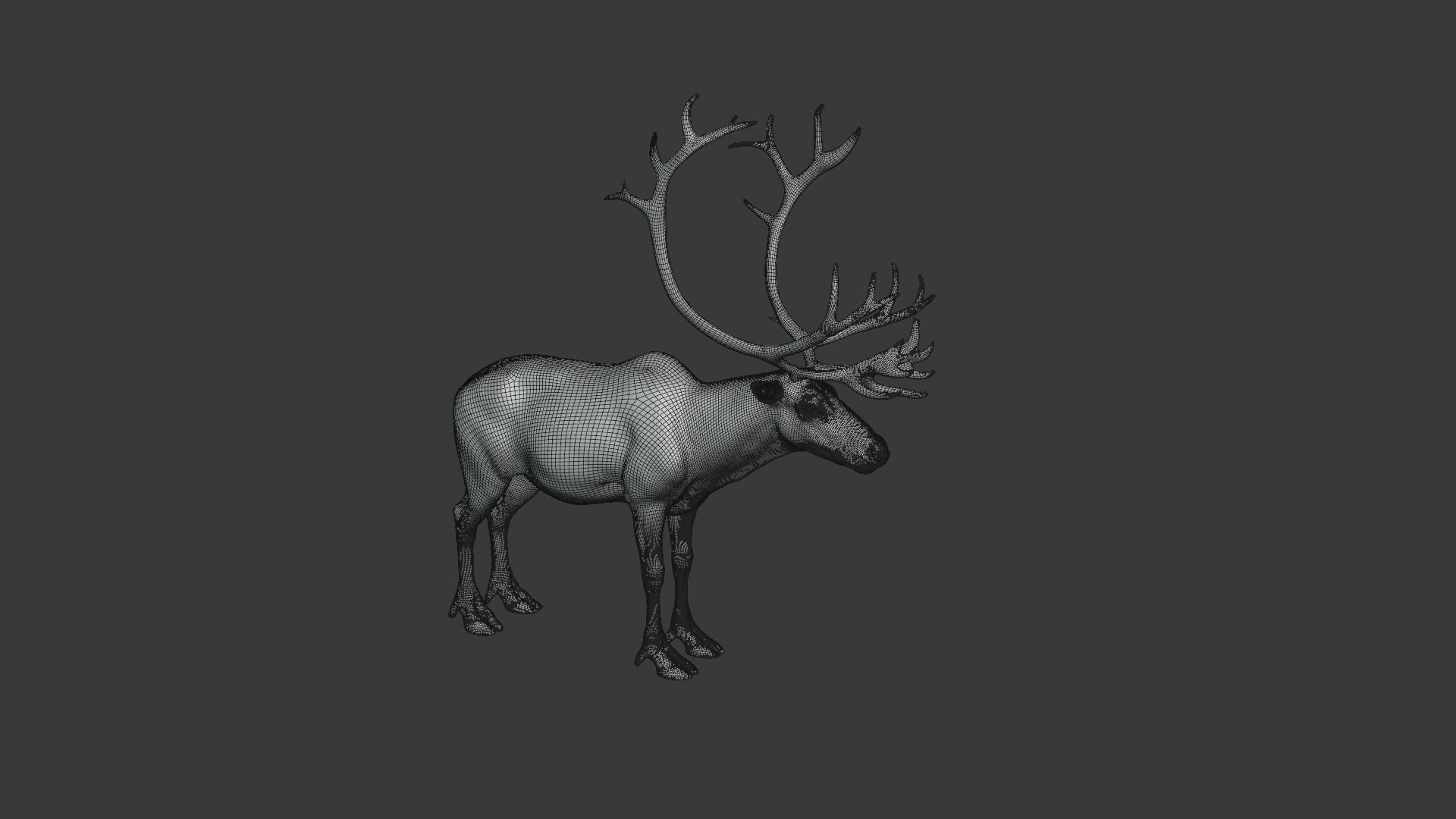 ReinDeer Male and Female Animated 3D model_29