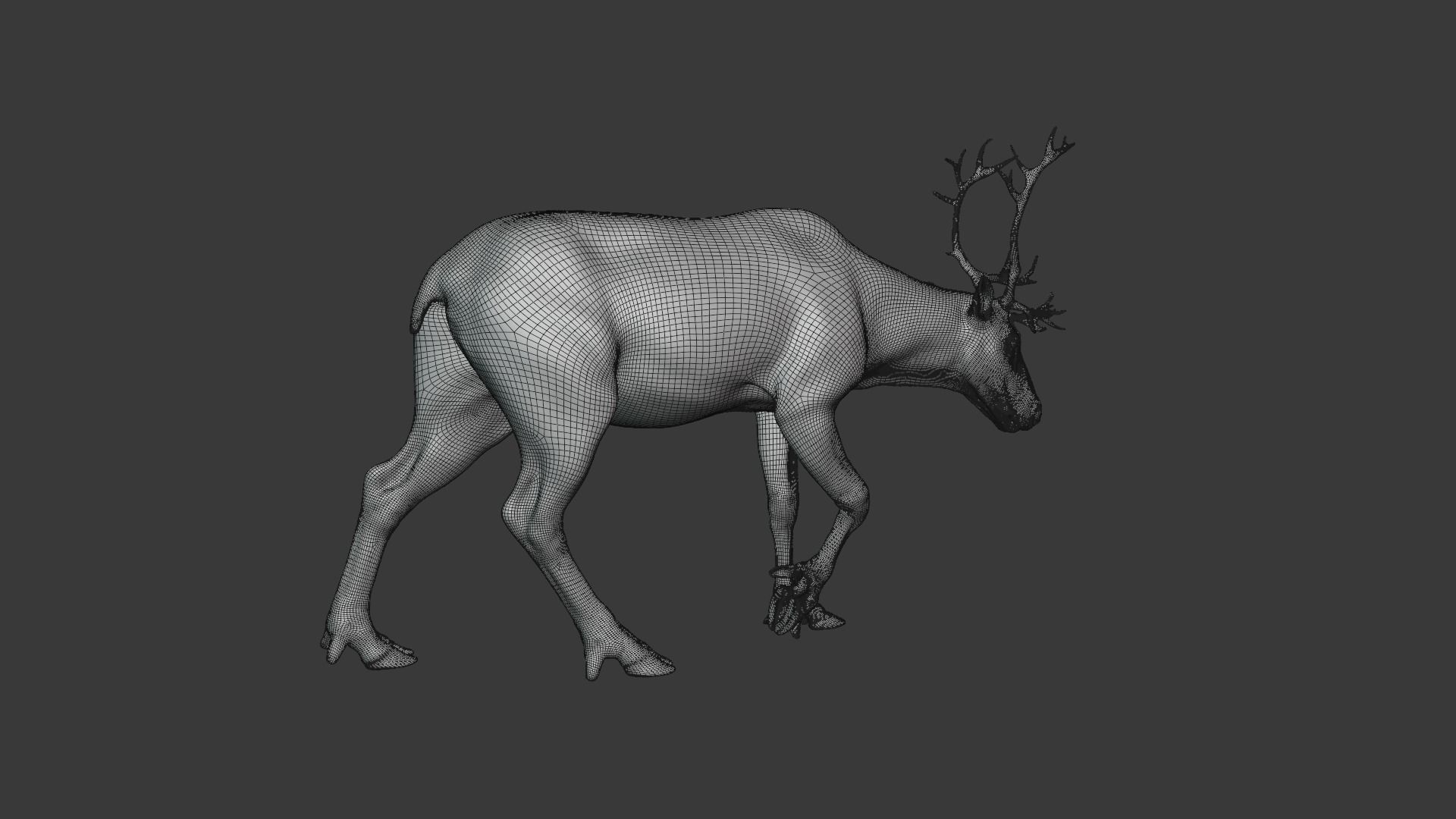 ReinDeer Male and Female Animated 3D model_18