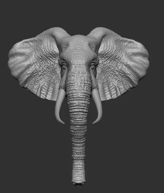 Elephant head 3D print model