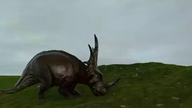 Dinosaur Triceratops