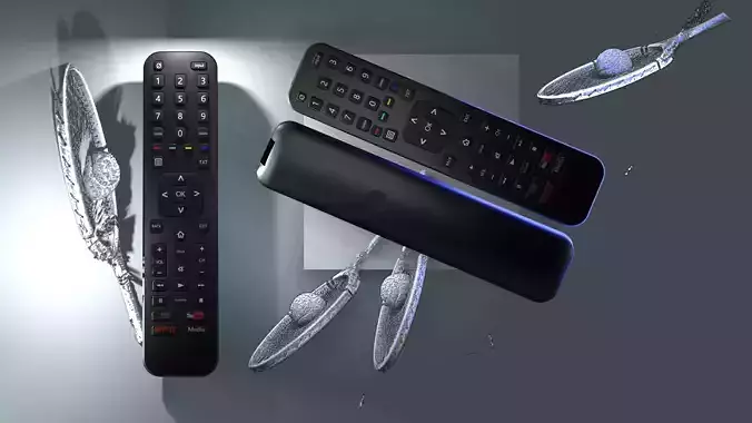 Remote two controls 3D model