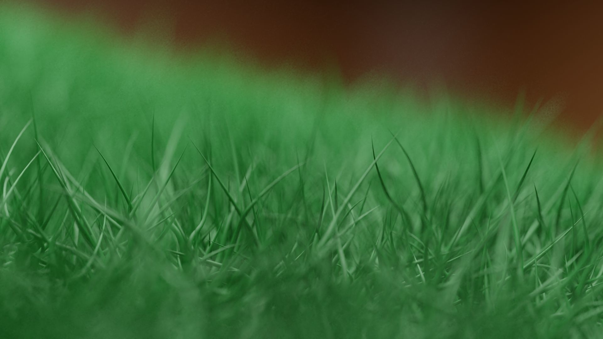 Realistic Grass landscape Free 3D model_1
