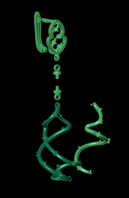 earrings with pearls 3D print model_18