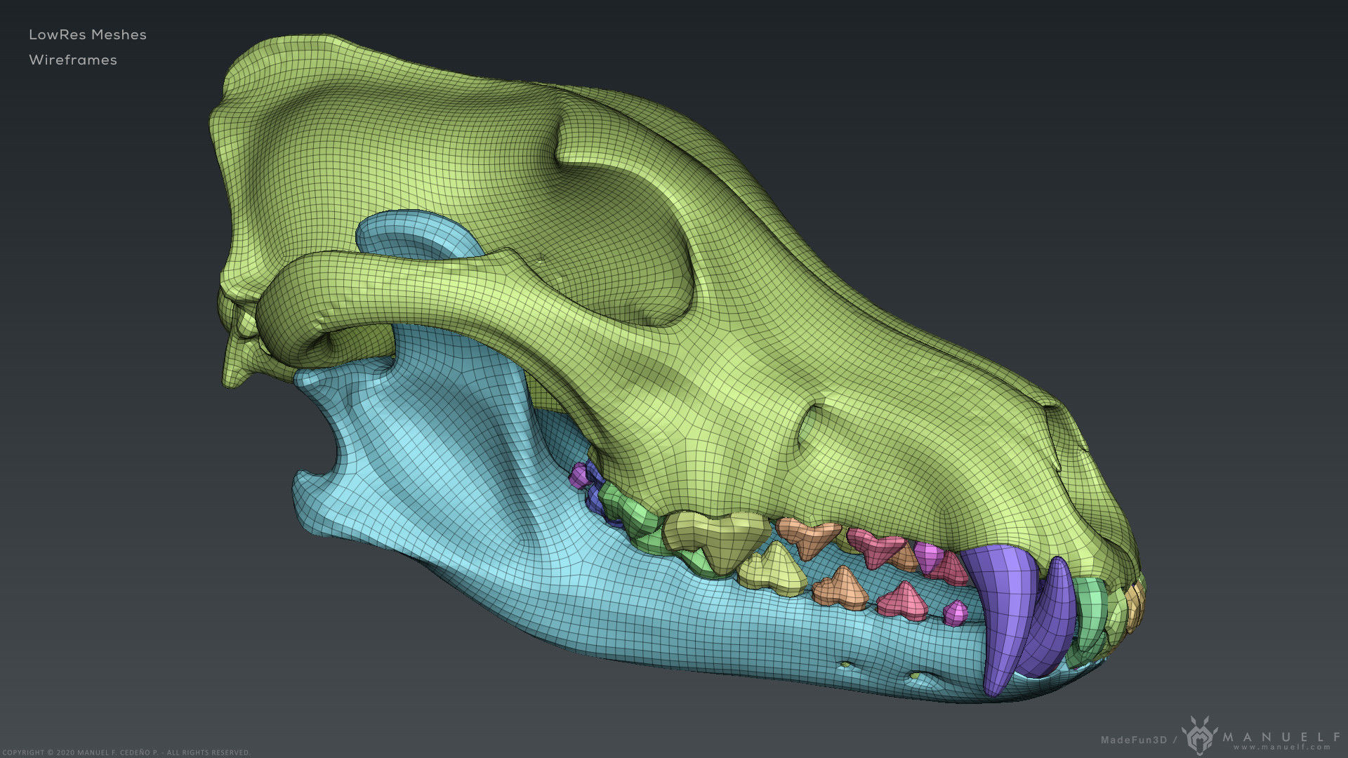 3D Wolf Skull - Highpoly sculpture 3D model_15