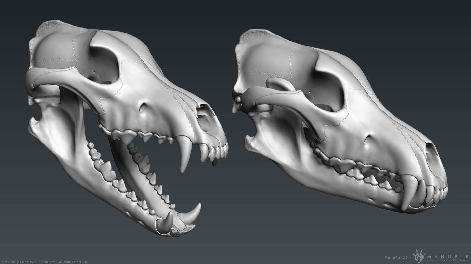 3D Wolf Skull - Highpoly sculpture 3D model_1