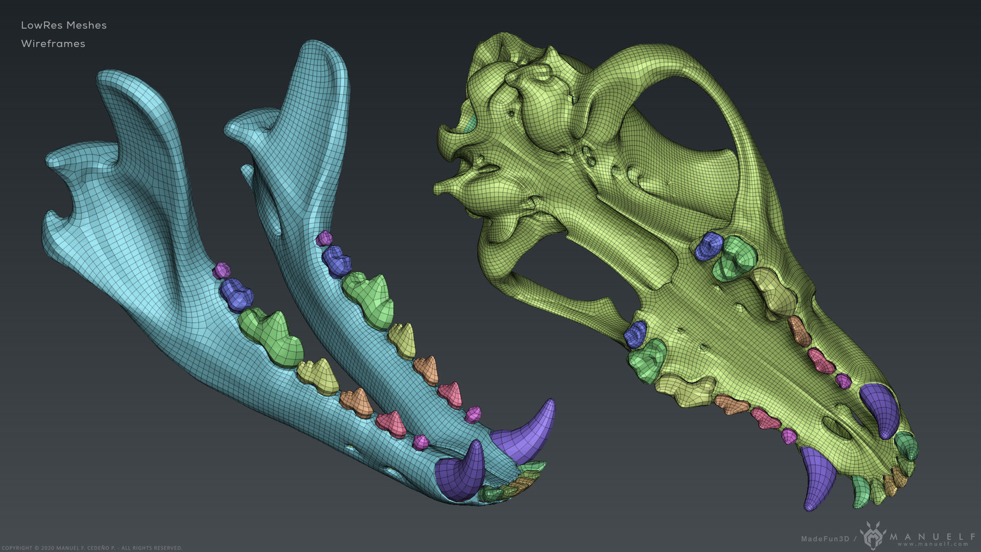 3D Wolf Skull - Highpoly sculpture 3D model_16