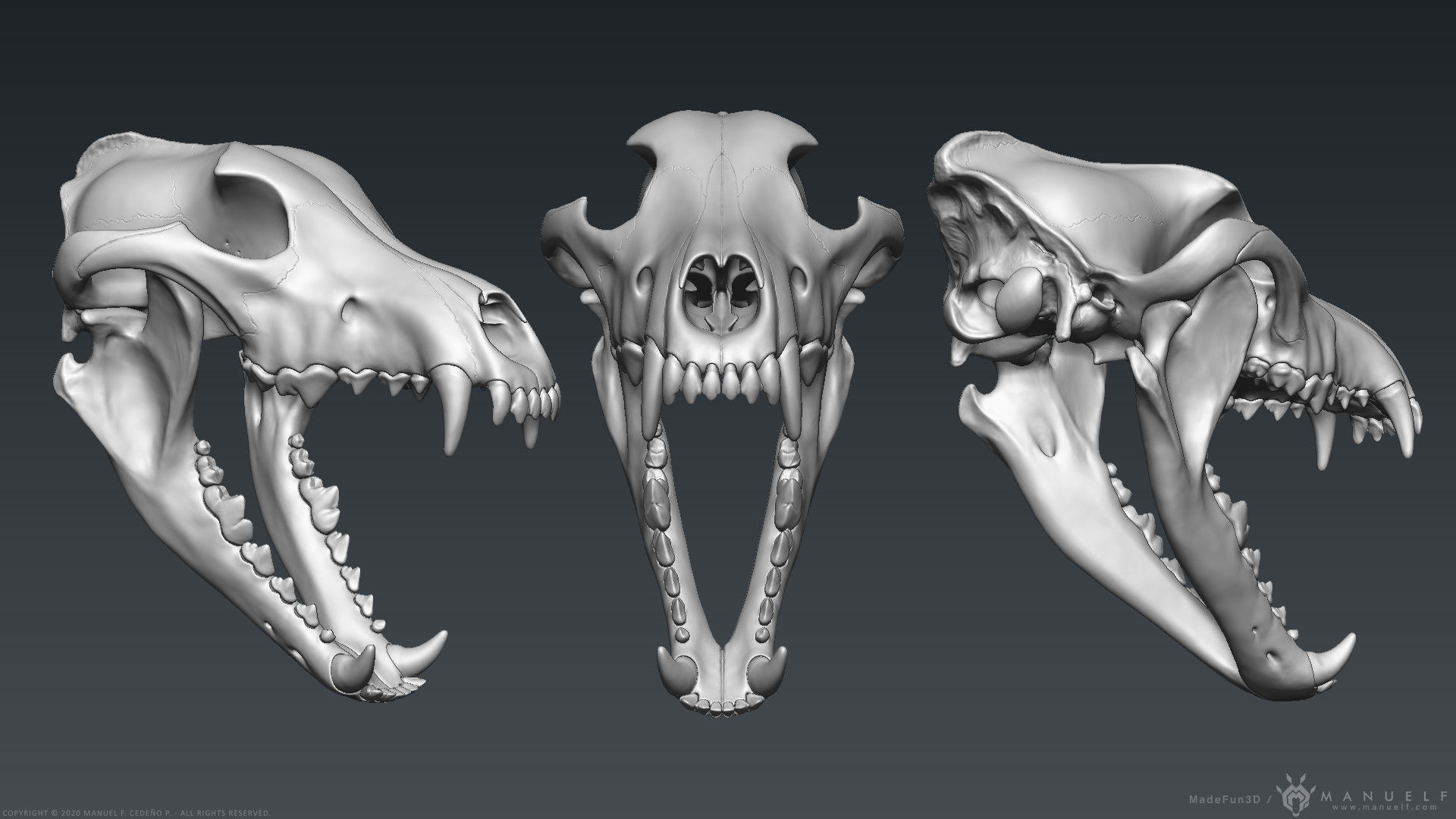 3D Wolf Skull - Highpoly sculpture 3D model_4