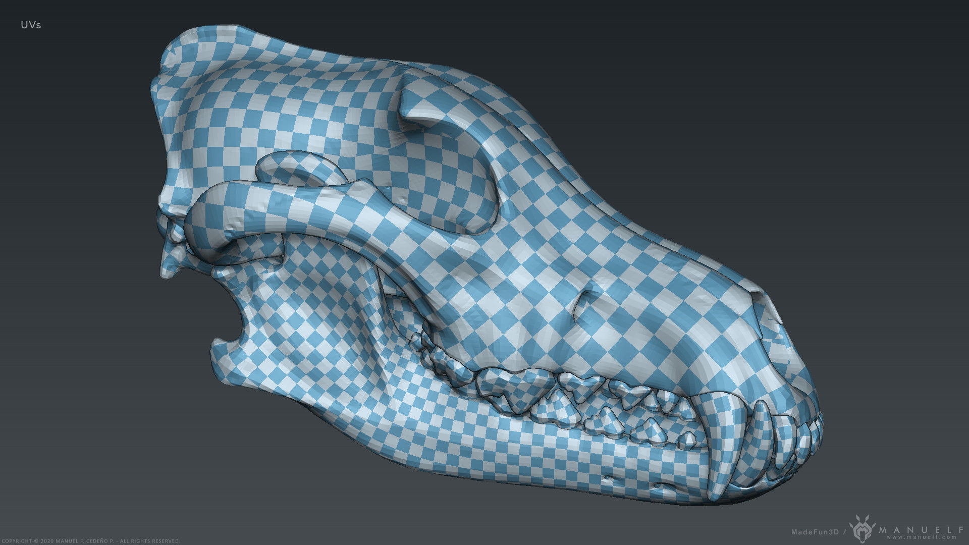 3D Wolf Skull - Highpoly sculpture 3D model_19